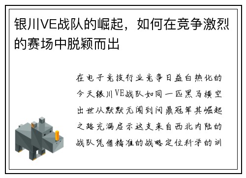 银川VE战队的崛起，如何在竞争激烈的赛场中脱颖而出